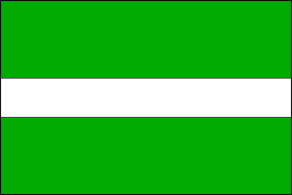 city flag