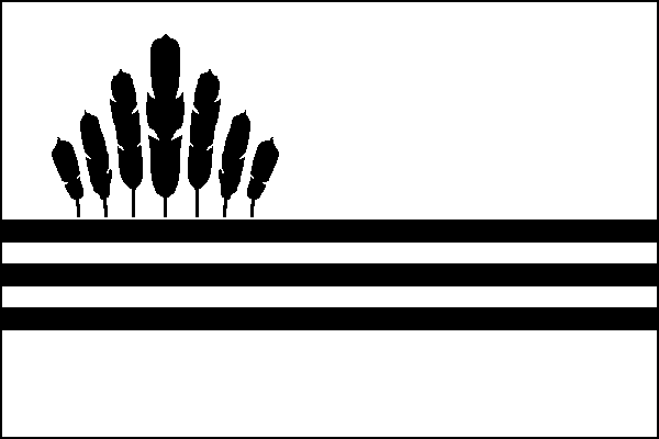 city flag