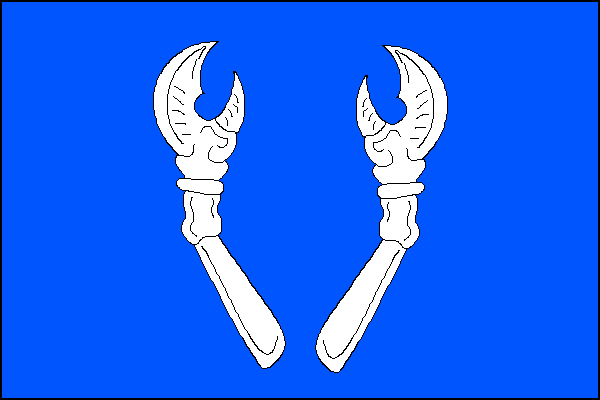 city flag