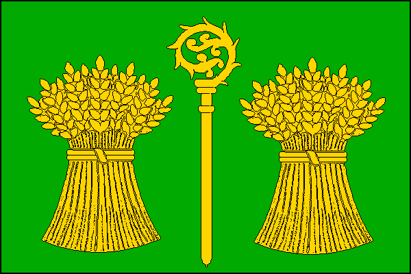 city flag