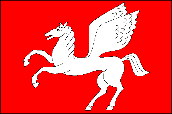 city flag