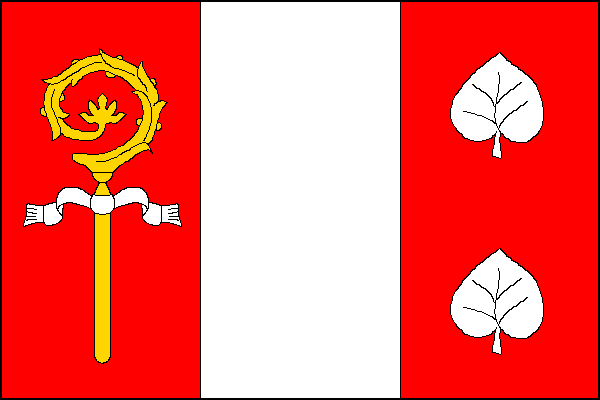 city flag