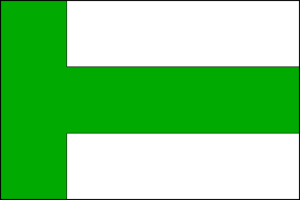 city flag