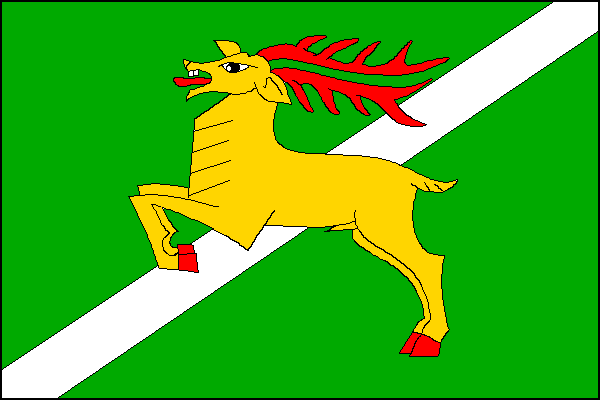 city flag