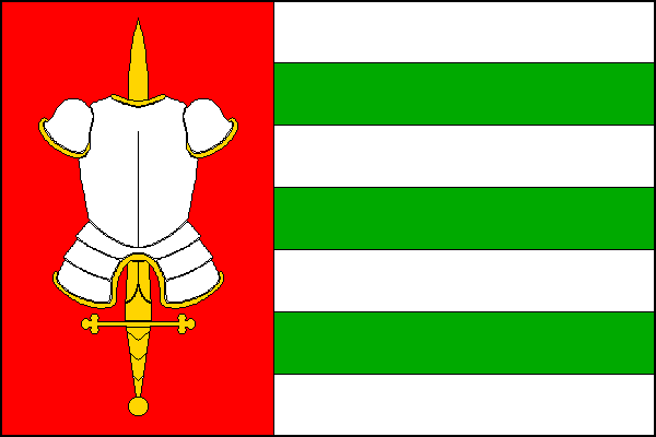 city flag