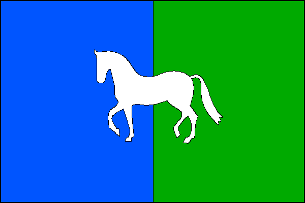 city flag