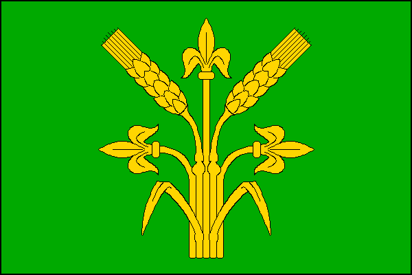 city flag