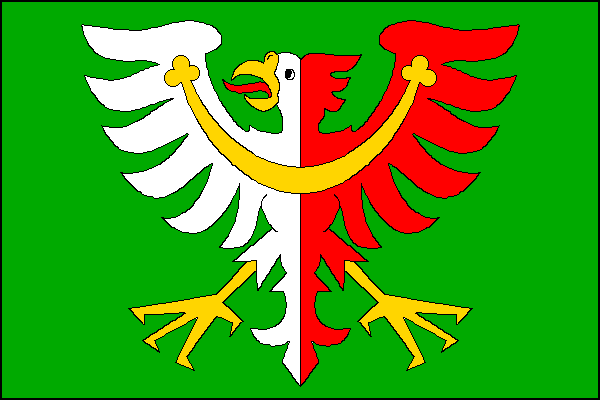 city flag