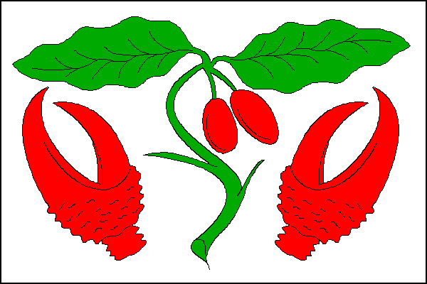 city flag