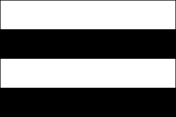 city flag