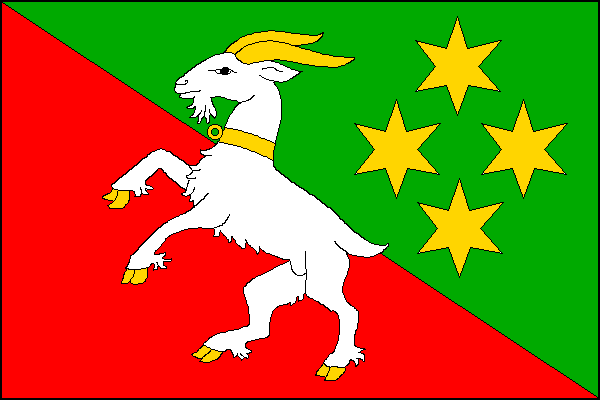city flag