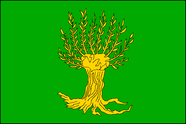 city flag