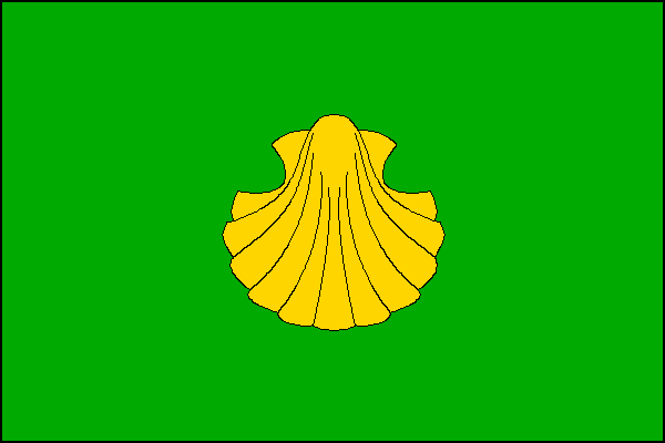 city flag